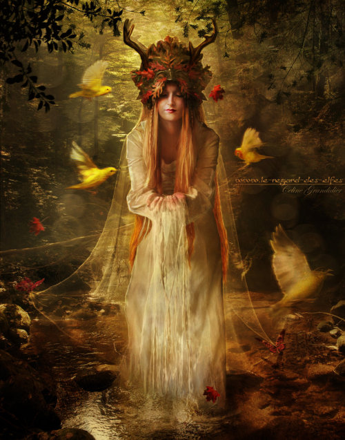 Lady of the Forest -LeRegarddesElfes